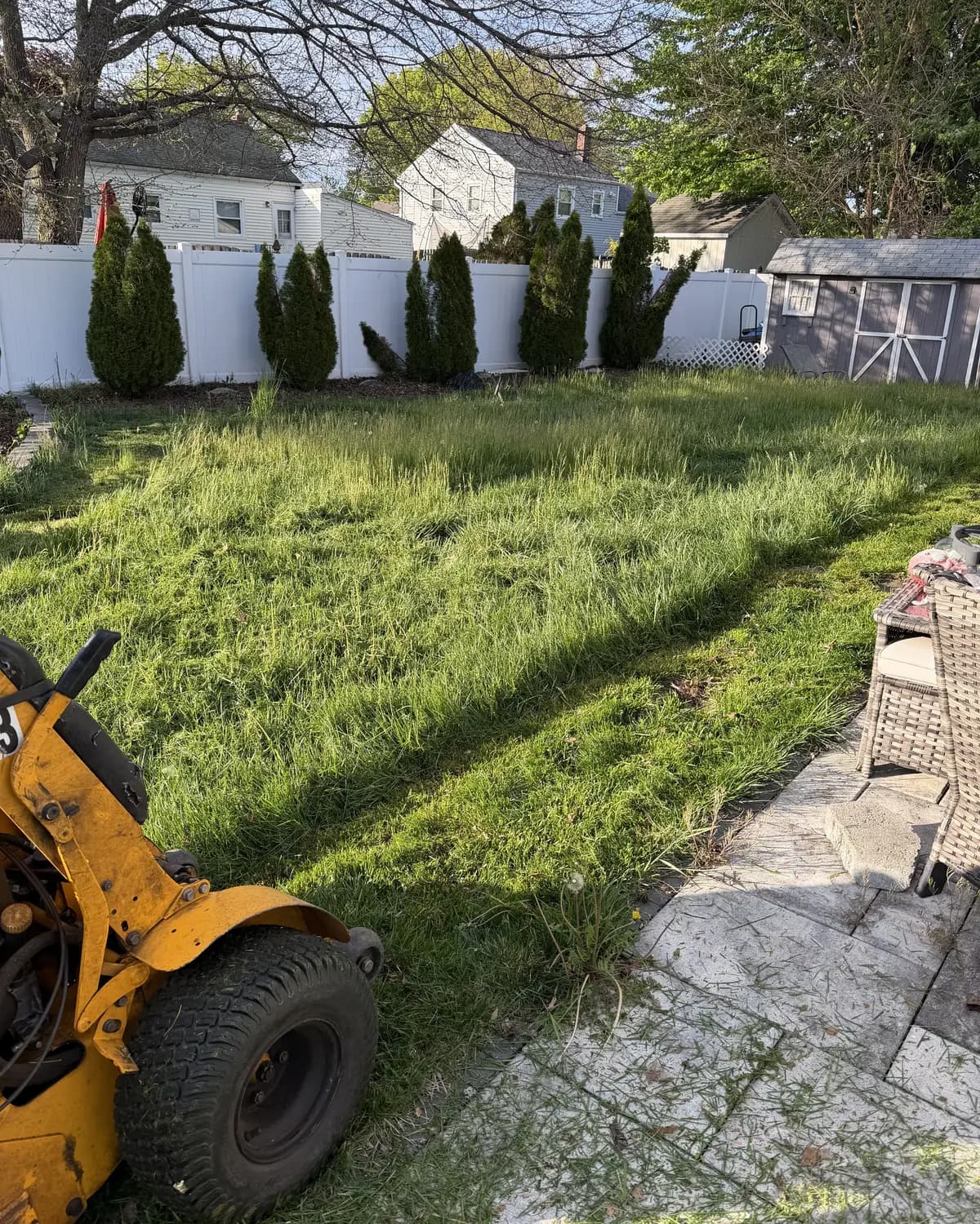 The same backyard before, with tall uneven grass