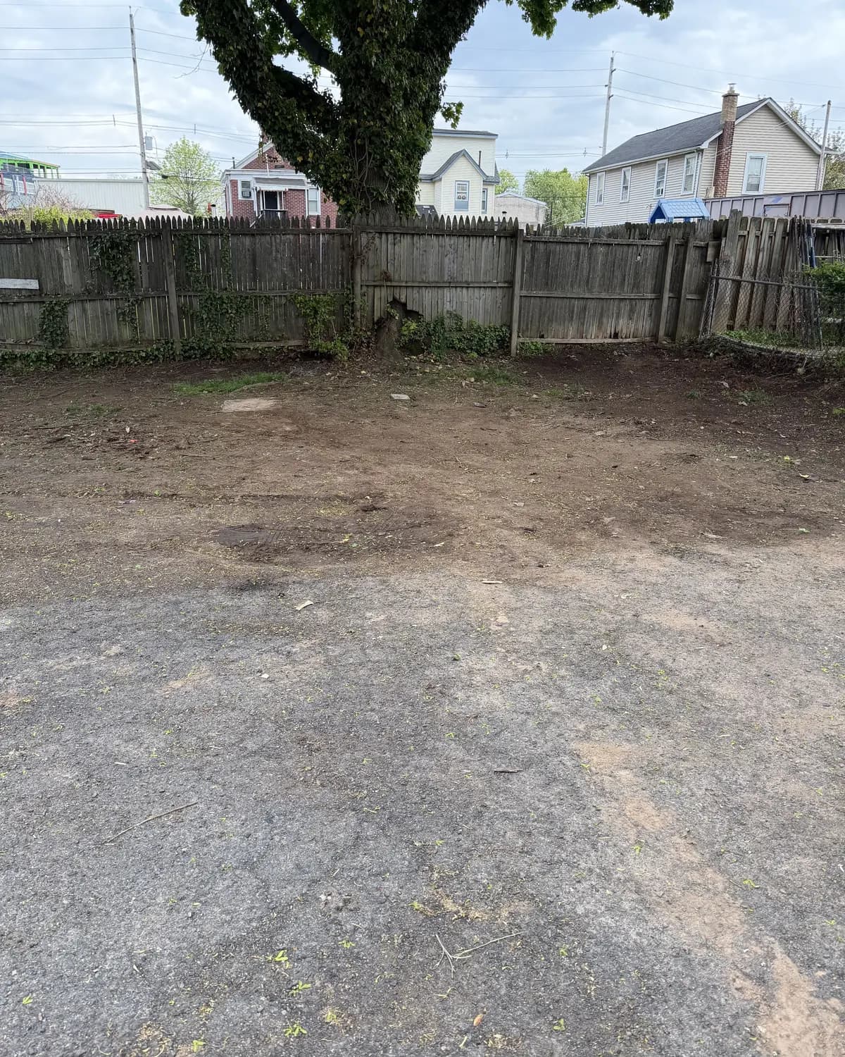 The same yard after cleanup, cleared down to clean ground