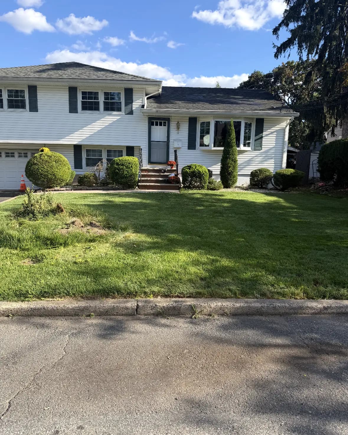 A front lawn with trimmed shrubs and a clean curb line