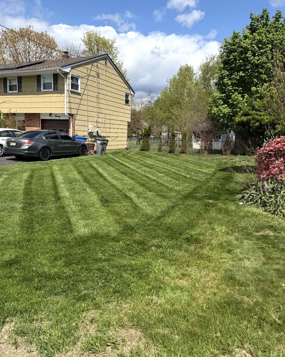 Diagonal mowing stripes across a front yard
